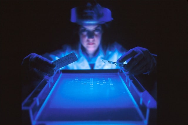 Jeux de Hasard Préférés des Scientifiques